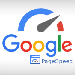 Page Speed Insight